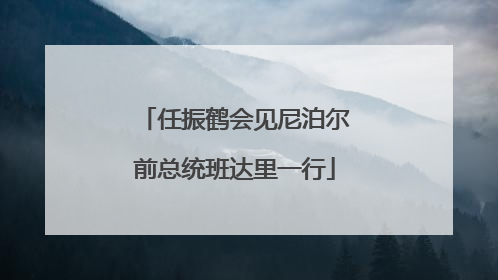 任振鹤会见尼泊尔前总统班达里一行