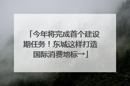 今年将完成首个建设期任务！东城这样打造国际消费地标→