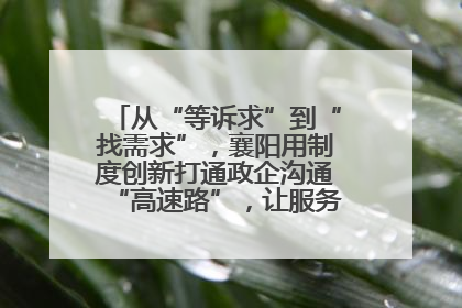 从“等诉求”到“找需求”，襄阳用制度创新打通政企沟通“高速路”，让服务“一键直达”