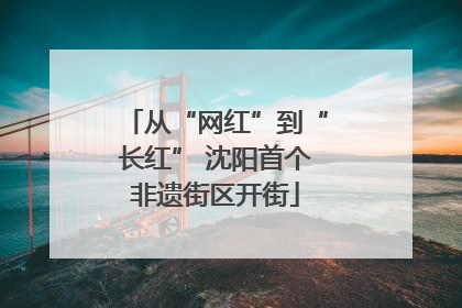 从“网红”到“长红” 沈阳首个非遗街区开街