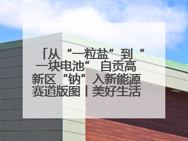 从“一粒盐”到“一块电池” 自贡高新区“钠”入新能源赛道版图丨美好生活有“盐”味