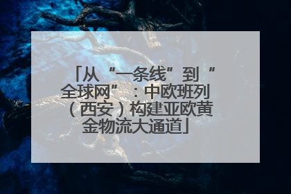 从“一条线”到“全球网”：中欧班列（西安）构建亚欧黄金物流大通道