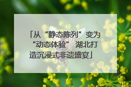 从“静态陈列”变为“动态体验” 湖北打造沉浸式非遗盛宴