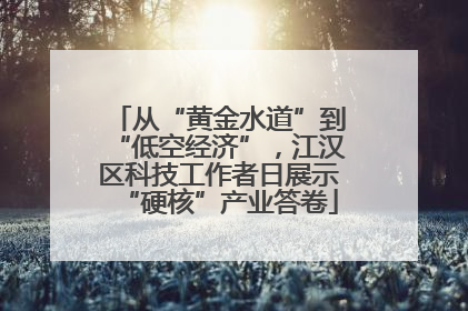 从“黄金水道”到“低空经济”，江汉区科技工作者日展示“硬核”产业答卷