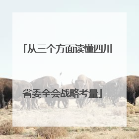 从三个方面读懂四川省委全会战略考量