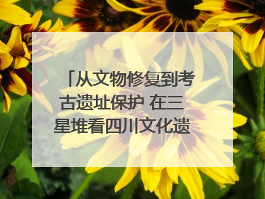 从文物修复到考古遗址保护 在三星堆看四川文化遗产焕发新光彩｜您牵挂的四川