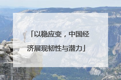 以稳应变，中国经济展现韧性与潜力