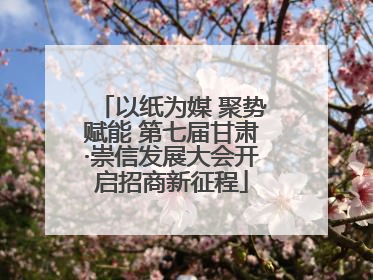 以纸为媒 聚势赋能 第七届甘肃·崇信发展大会开启招商新征程