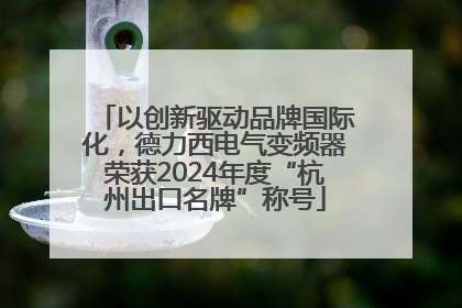 以创新驱动品牌国际化，德力西电气变频器荣获2024年度“杭州出口名牌”称号