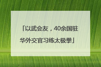以武会友，40余国驻华外交官习练太极拳
