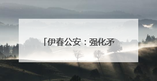伊春公安：强化矛盾纠纷化解 织密基层“平安网”