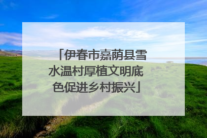 伊春市嘉荫县雪水温村厚植文明底色促进乡村振兴