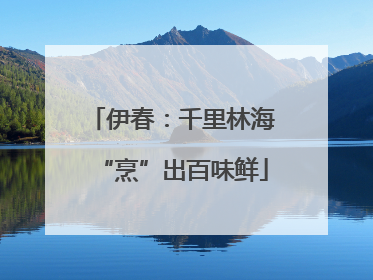 伊春：千里林海“烹”出百味鲜