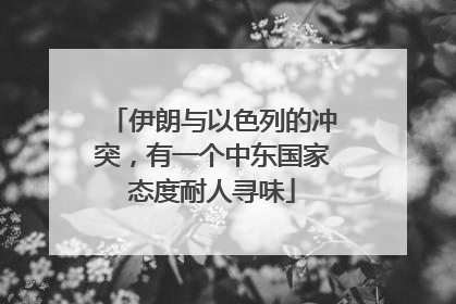 伊朗与以色列的冲突，有一个中东国家态度耐人寻味