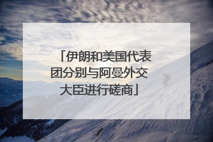 伊朗和美国代表团分别与阿曼外交大臣进行磋商