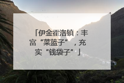 伊金霍洛镇：丰富“菜篮子”，充实“钱袋子”