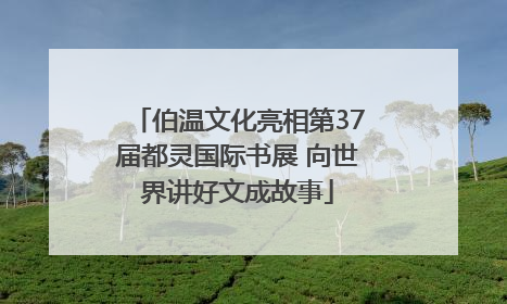 伯温文化亮相第37届都灵国际书展 向世界讲好文成故事