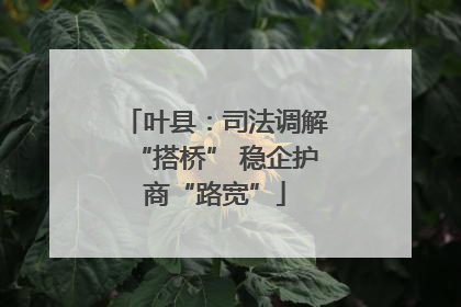 叶县：司法调解“搭桥” 稳企护商“路宽”