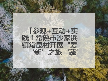 参观+互动+实践！常熟市沙家浜镇常昆村开展“爱‘新’之旅‘蔬’适生活”参观学习活动