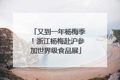 又到一年杨梅季！浙江杨梅赴沪参加世界级食品展