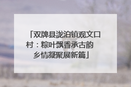 双牌县泷泊镇观文口村：粽叶飘香承古韵 乡情凝聚展新篇