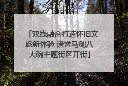 双线融合打造怀旧文旅新体验 诸暨马剑八大碗主题街区开街