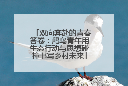 双向奔赴的青春答卷：鸬鸟青年用生态行动与思想碰撞书写乡村未来