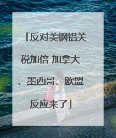反对美钢铝关税加倍 加拿大、墨西哥、欧盟反应来了