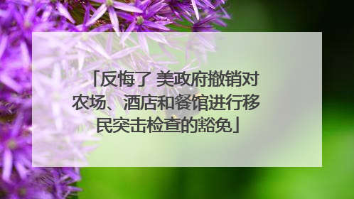 反悔了 美政府撤销对农场、酒店和餐馆进行移民突击检查的豁免