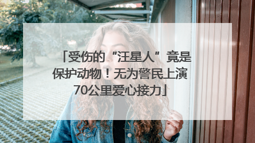 受伤的“汪星人”竟是保护动物！无为警民上演70公里爱心接力