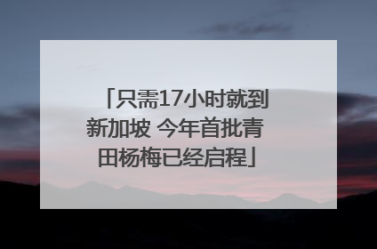 只需17小时就到新加坡 今年首批青田杨梅已经启程