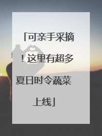 可亲手采摘！这里有超多夏日时令蔬菜上线
