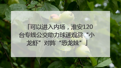 可以进入内场，淮安120台专线公交助力球迷观赏“小龙虾”对阵“恐龙妹”
