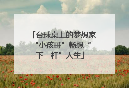 台球桌上的梦想家 “小孩哥”畅想“下一杆”人生