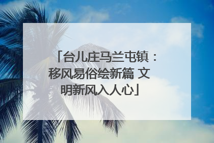 台儿庄马兰屯镇：移风易俗绘新篇 文明新风入人心
