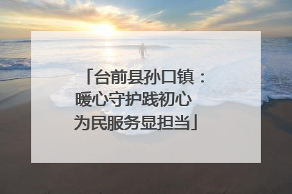 台前县孙口镇：暖心守护践初心 为民服务显担当
