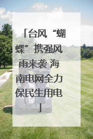 台风“蝴蝶”携强风雨来袭 海南电网全力保民生用电
