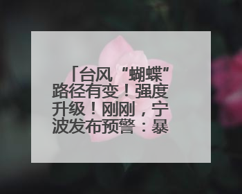 台风“蝴蝶”路径有变！强度升级！刚刚，宁波发布预警：暴雨！大暴雨！11级大风！