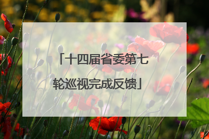 十四届省委第七轮巡视完成反馈