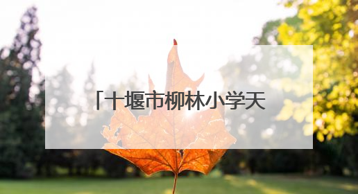 十堰市柳林小学天津路第一校区家长开放周暨庆“六一”系列活动圆满落幕
