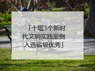 十堰3个新时代文明实践案例入选省级优秀