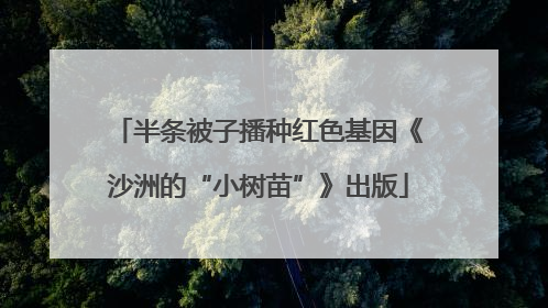 半条被子播种红色基因《沙洲的“小树苗”》出版