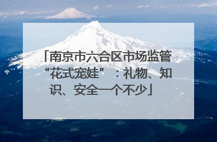 南京市六合区市场监管“花式宠娃”：礼物、知识、安全一个不少