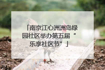 南京江心洲洲岛绿园社区举办第五届“乐享社区节”