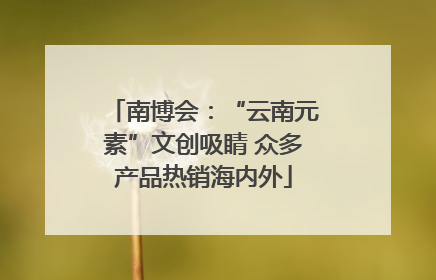 南博会：“云南元素”文创吸睛 众多产品热销海内外