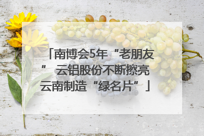 南博会5年“老朋友” 云铝股份不断擦亮云南制造“绿名片”