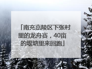 南充嘉陵区下张村里的龙舟赛，40亩的堰塘里来回跑