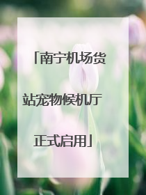 南宁机场货站宠物候机厅正式启用