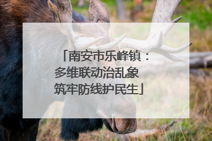 南安市乐峰镇：多维联动治乱象 筑牢防线护民生