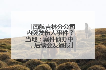 南航吉林分公司内突发伤人事件？当地：案件侦办中，后续会发通报
